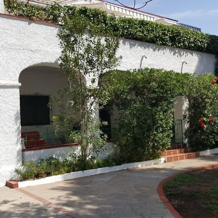 Villa Feli 3 Benicàssim Extérieur photo